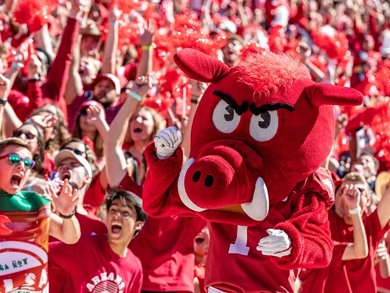 Razorback Roo Multiple Events Set for 'Razorback Red in | Razorback Family Portal